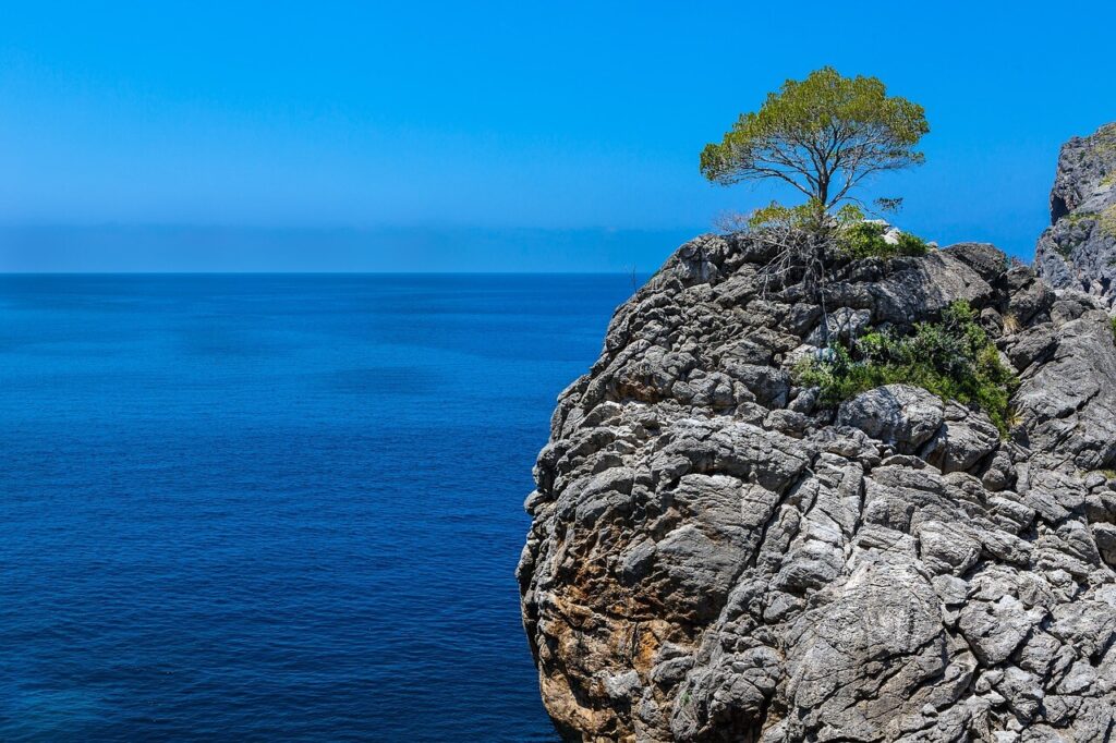 Mar de mallorca, entorno creativo de María Antonia, diseñadora web emocional